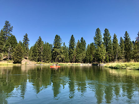 person kayaking on a river in nature